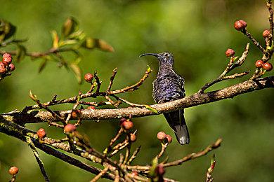 SE介绍《最终幻想7：重生》PC版为何是最佳版本